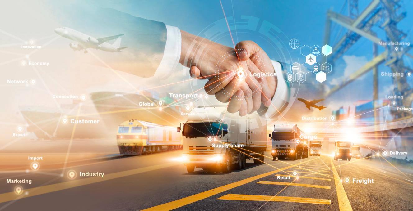 Customs services in international logistics